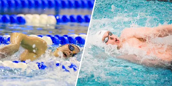 Social_Multi Graphic