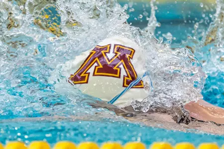 Swim & Dive