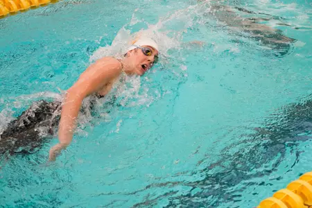 O'Driscoll, Maeve 2385