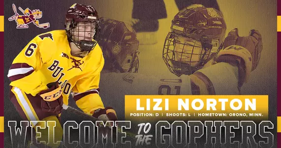 Norton Welcome Graphic