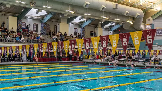 Aquatic Center flags