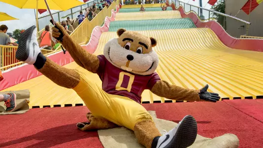 Goldy at the Fair