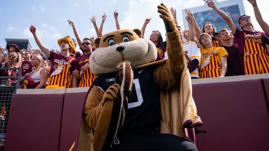 Goldy Gopher