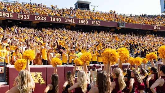 cheer, fans, stadium
