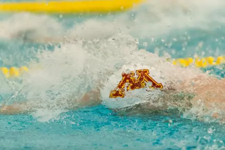 Swim & Dive vs Wisconsin