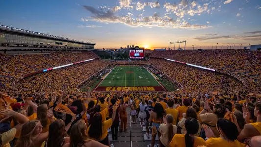 overall, sportart, fans, gold out