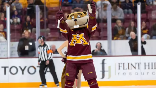 Goldy in maroon jersey - sportart