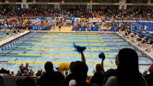 2014 - University of Minnesota Gopher Women Swimming at NCAA Championships hosted at the University Aquatic Center. Day 3 Finals.
-- Copyright Christopher Mitchell / SportShotPhoto.com