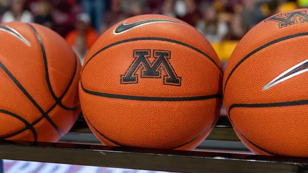 sportart women's basketball