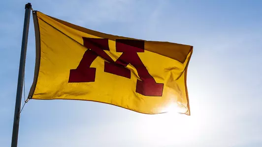 Minnesota Block M Flag