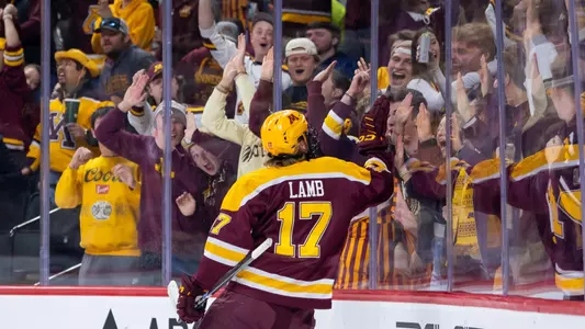 Lamb at Xcel vs UST