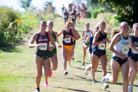 paulsen 2024 griak