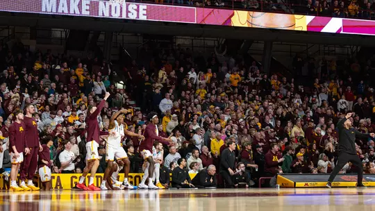 team, fans, celebration