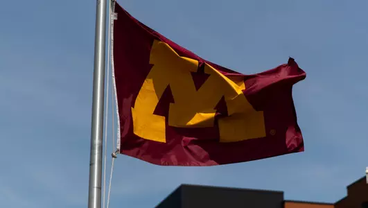 Minnesota Flag