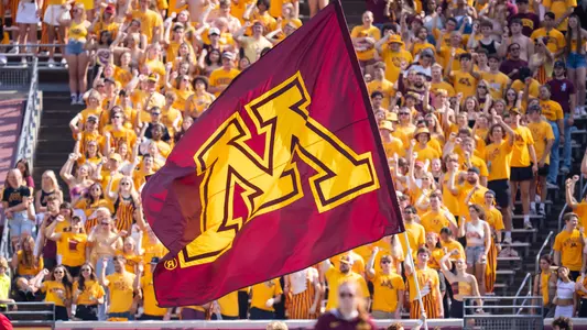 flags, fans