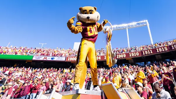Goldy