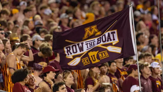 SportArt RTB Flag