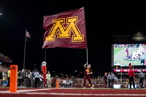 cheer, flag