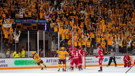 team, celebration, fans