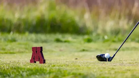 sportart_mgolf