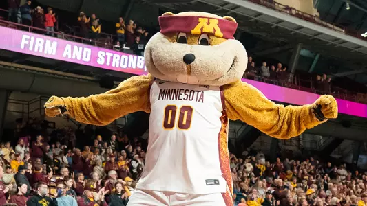 goldy gopher