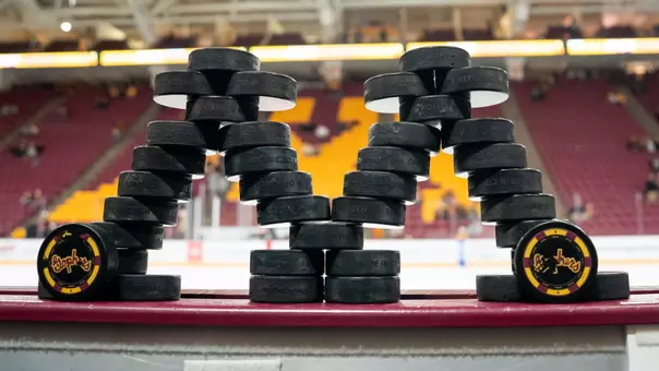 MHK pre-game pucks sportart