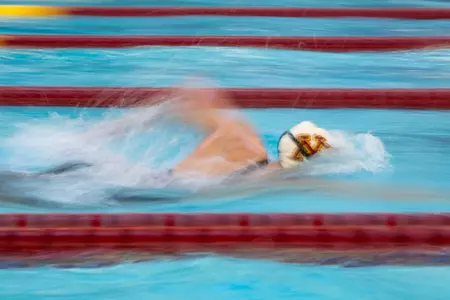 sportart