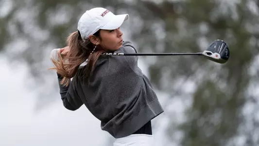 Mesones driver swing