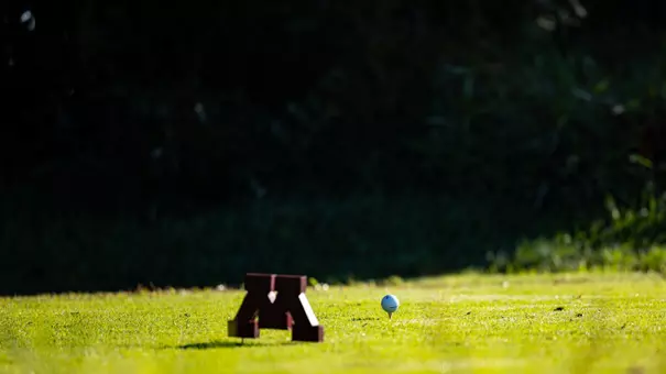 Gopher Invitational - SportArt