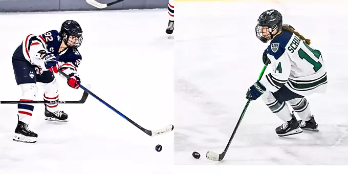 Schalin, Allard Transfer Additions