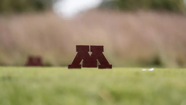 Men's Golf Sportart