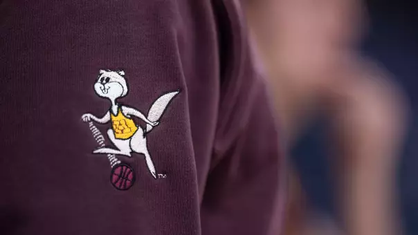basketball goldy