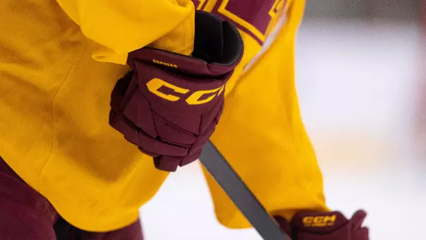 MHK glove close up sportart