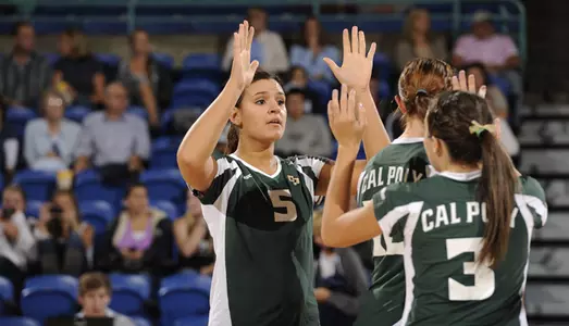 Mustangs Hang Tough with No. 8 Hawai'i, Fall in Four Sets Image