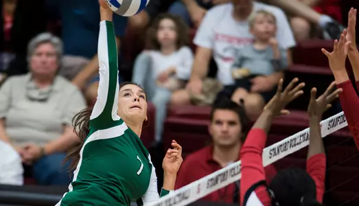 No. 12 Hawai'i Takes Mustangs in Three Sets Image
