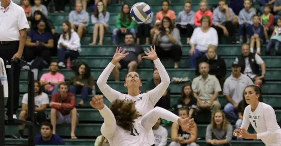 Cal Poly Outlasted by Long Beach State in Five-Set Marathon Image
