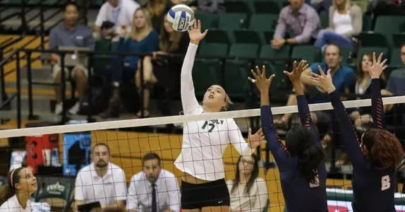 The Mustang Volleyball Team Fights Hard but Falls to Arkansas State Image
