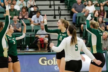 Nelson Climbs Record Book as Mustangs Sweep Matadors Image