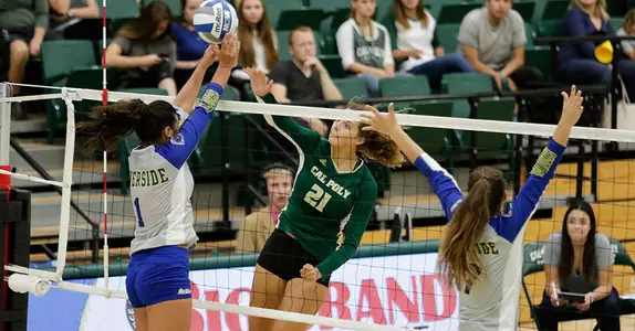 Mustangs Sweep Anteaters for Best Start in Program History Image