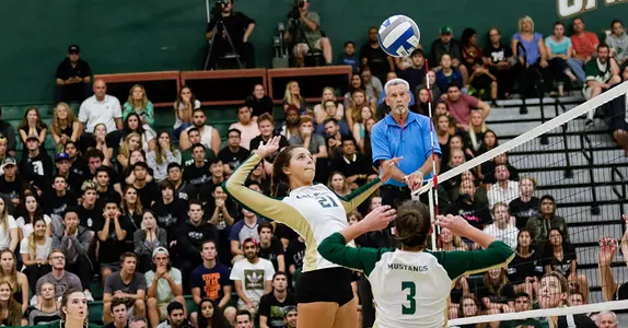 Mustangs Defeat Gauchos for Program Record 17th Straight Win Image