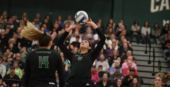 No. 12 Mustangs Sweep CSUN, Match Best Start in Program History Image