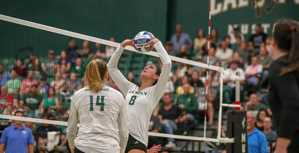 Defense Leads No. 16 Mustangs to Road Sweep of UC Davis Image