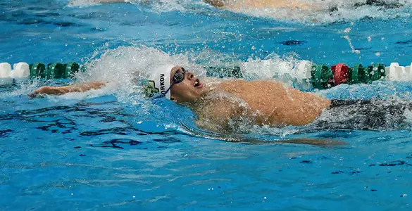 Men's and Women's Swimming & Diving Wins at SDSU Double Dual Meet Image