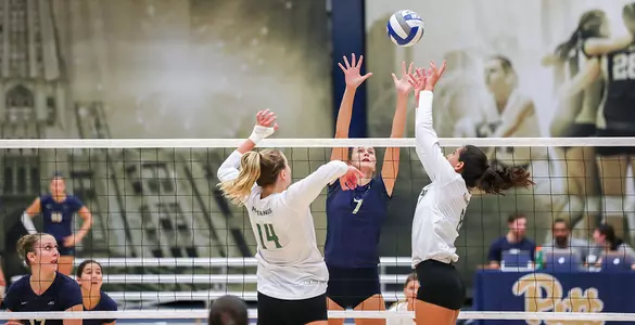 No. 24 Mustangs Split Pair of Matches to Open 2018 Season Image