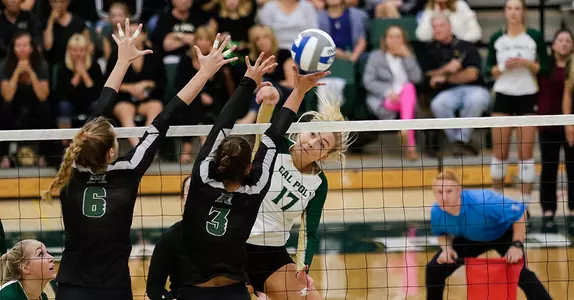No. 24 Mustangs Use Balanced Attack to Sweep Butler Image