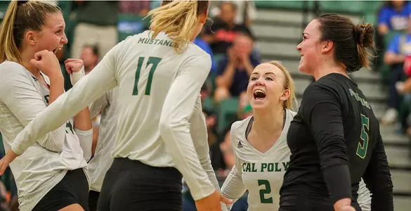 No. 15 Mustangs Sweep Highlanders for 12th Straight Win Image