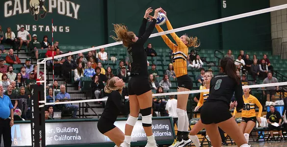 No. 15 Mustangs Sweep Long Beach State, Extend Winning Streak to 14 Image