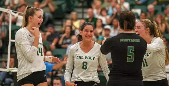 No. 22 Mustangs Defeat No. 9 UCLA 3-1 For Second Time Friday Image