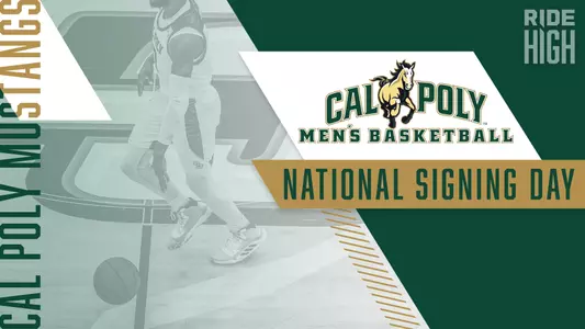 Men's Basketbal NLI Graphic (2020)