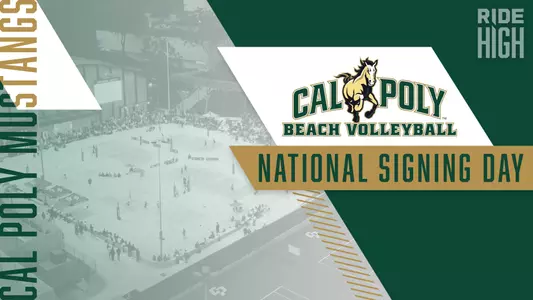 Beach Volleyball NLI Web